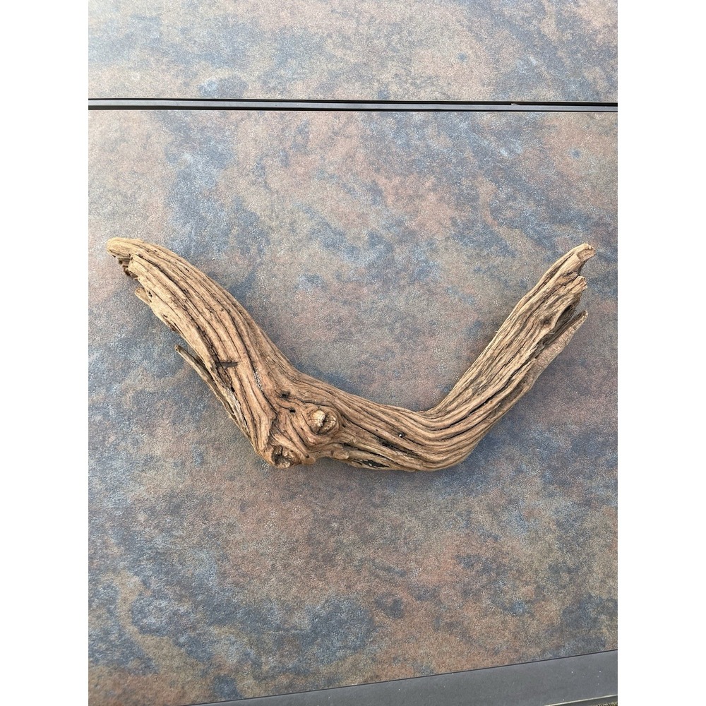 Natural Driftwood for Plants Terrarium Taxidermy Art Projects